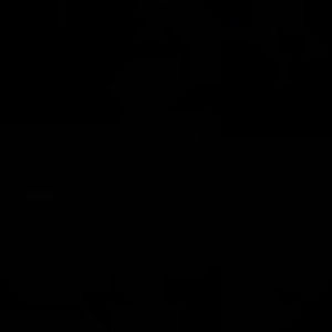 Meet your Posher, Aileen